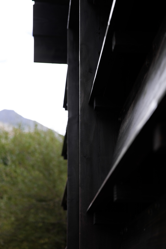 入口細節2 攝影：江奇偉 Entrance details 2 by Qiwei Jiang.png